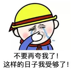 赛博牛马